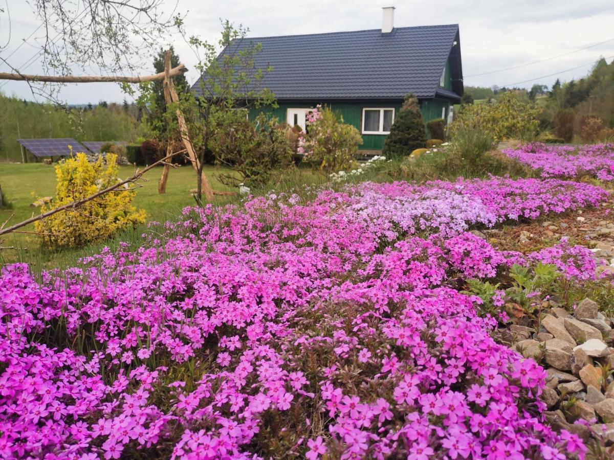Zielony Zakatek Ciezkowice Buitenkant foto