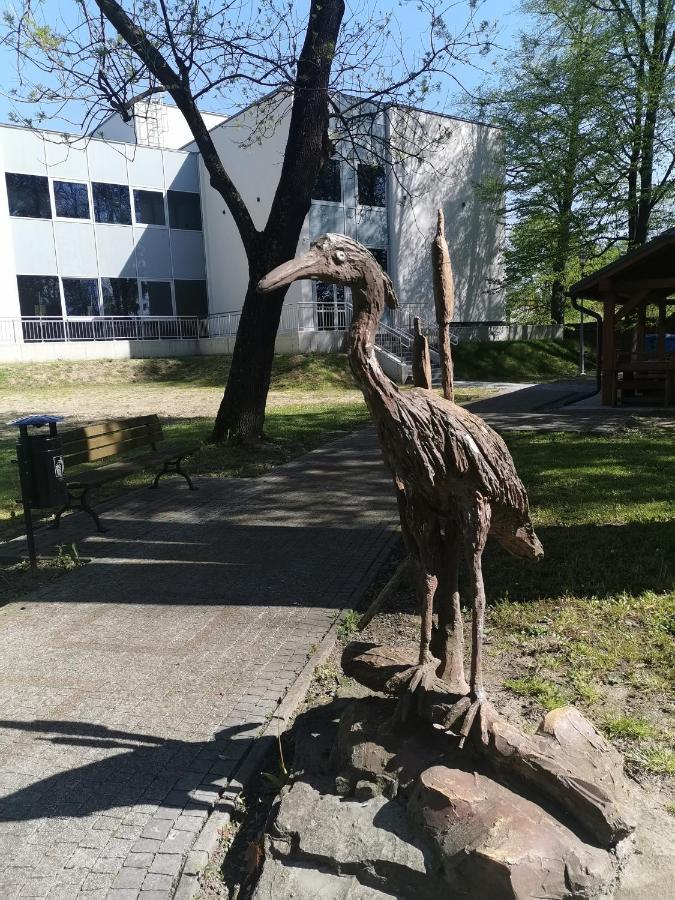 Zielony Zakatek Ciezkowice Buitenkant foto